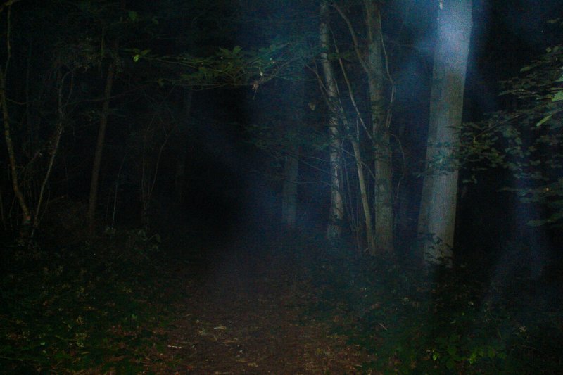 Pluckley Woods ghost hunt - Click to enlarge