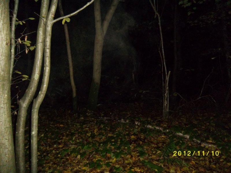 Pluckley Woods ghost hunt title=